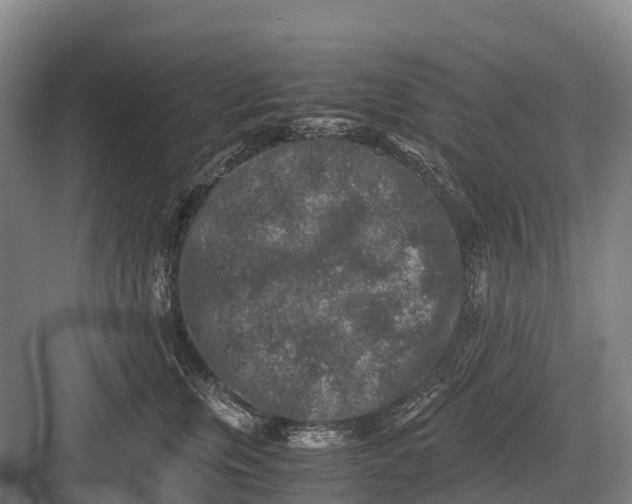 X0000082720759200702161841