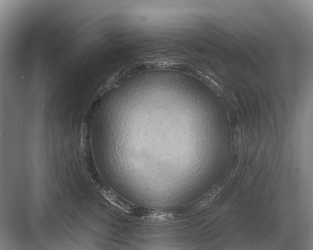 X0000082720760200702161841