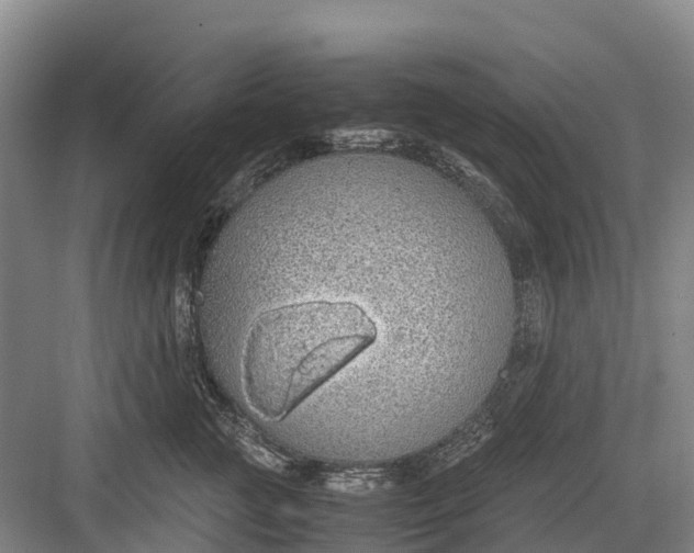 X0000082720761200702161841