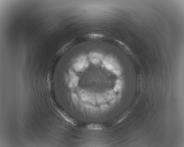 X0000082720762200702161841