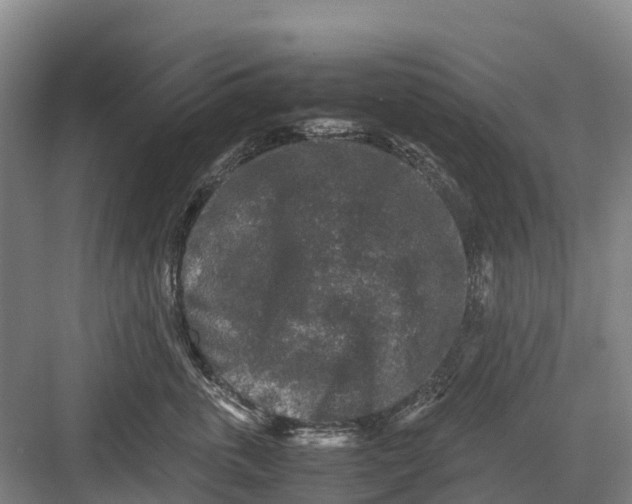 X0000082720763200702161841