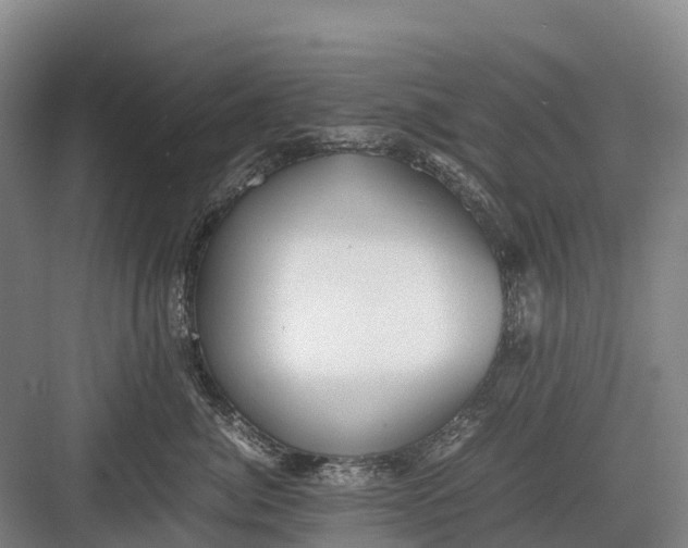 X0000082720764200702161841