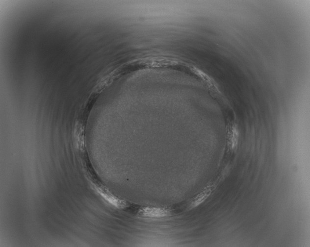 X0000082720766200702161841