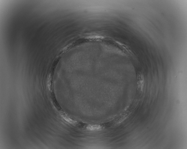 X0000082720767200702161841