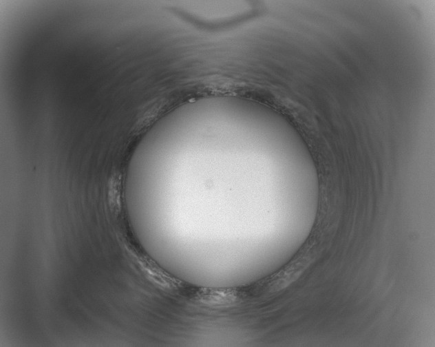 X0000082720768200702161841