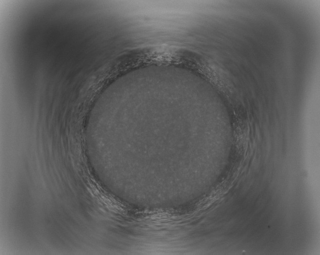 X0000082720769200702161840