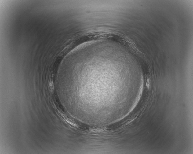 X0000082720771200702161840