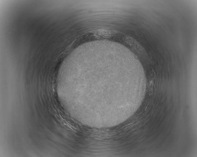 X0000082720772200702161840