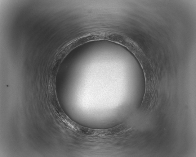 X0000082720773200702161840