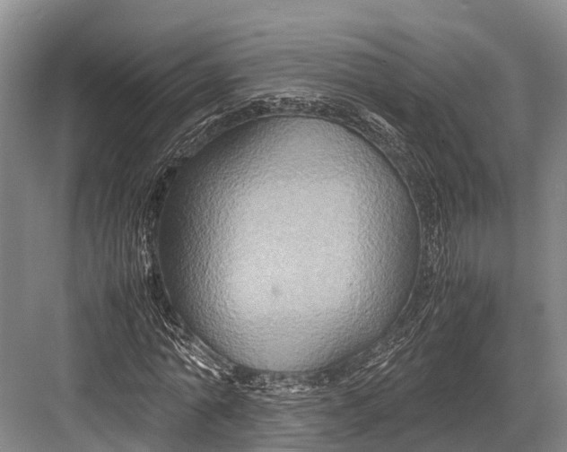 X0000082720774200702161840