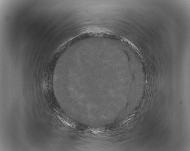 X0000082720775200702161840