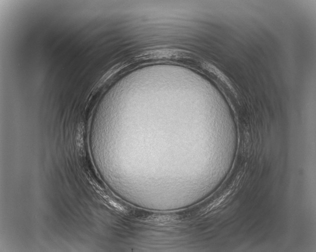 X0000082720778200702161840