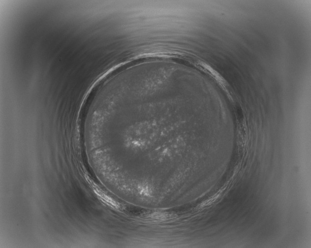 X0000082720779200702161840