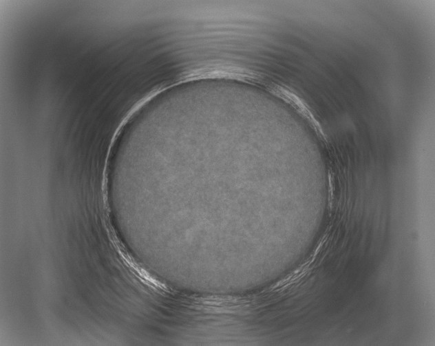 X0000082720780200702161840