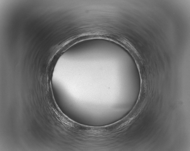 X0000082720781200702161840