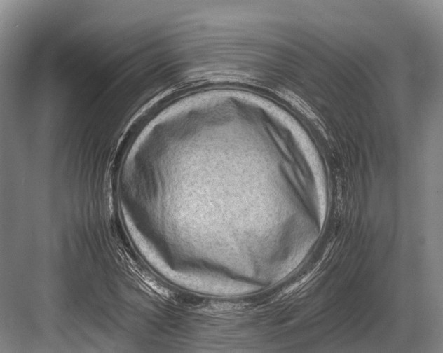 X0000082720782200702161840