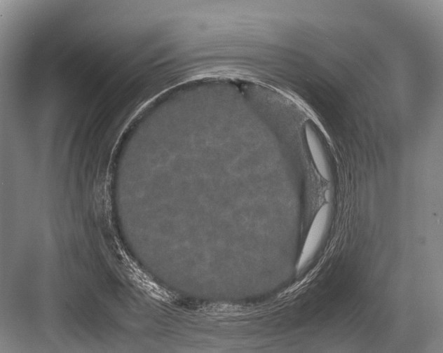 X0000082720783200702161840