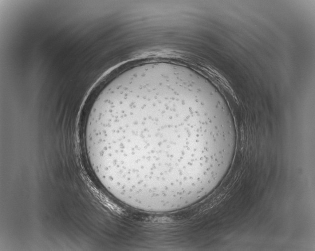 X0000082720784200702161840