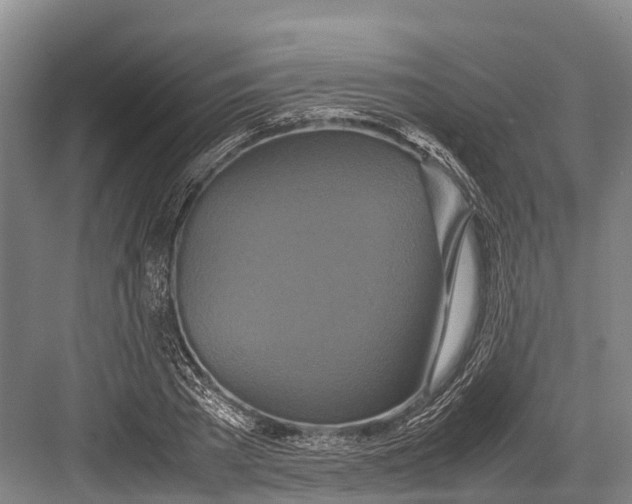 X0000082720785200702161840