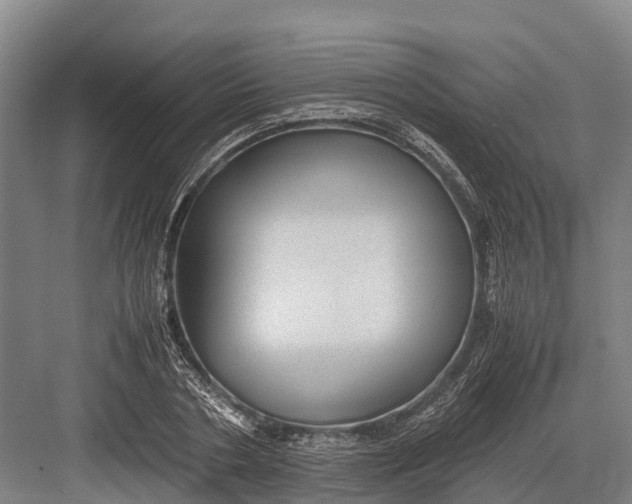 X0000082720786200702161840