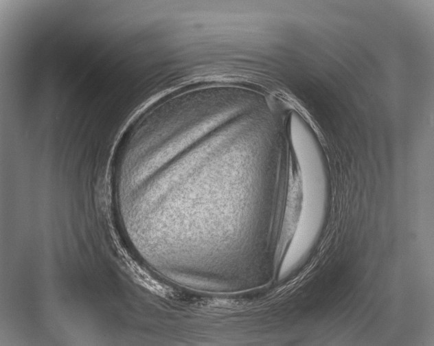 X0000082720787200702161840