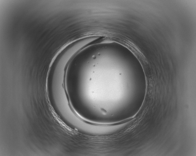 X0000082720788200702161840