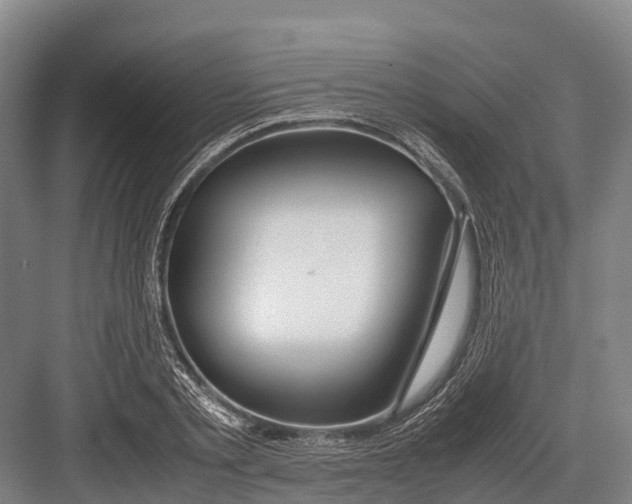 X0000082720789200702161840