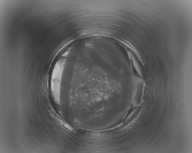 X0000082720790200702161840