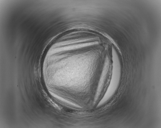 X0000082720791200702161840