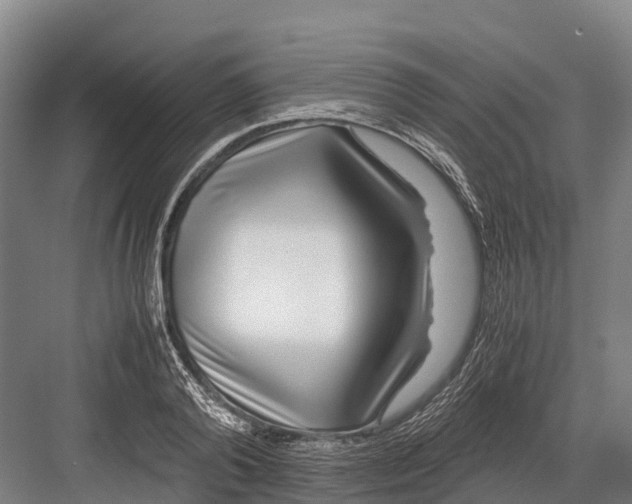 X0000082720792200702161840