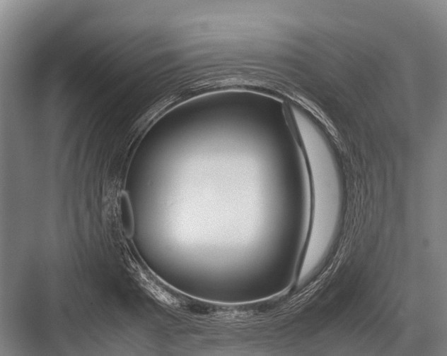 X0000082720793200702161840