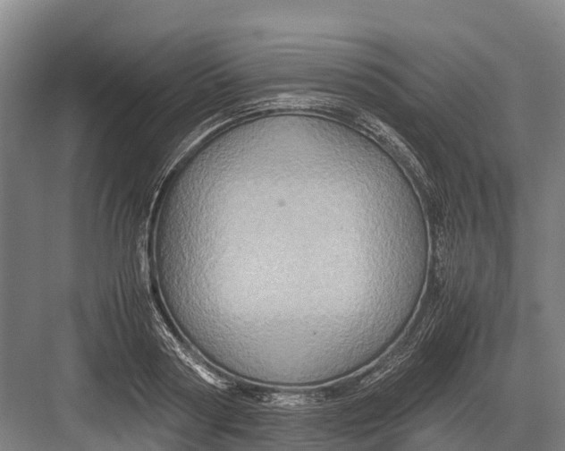 X0000082720794200702161840