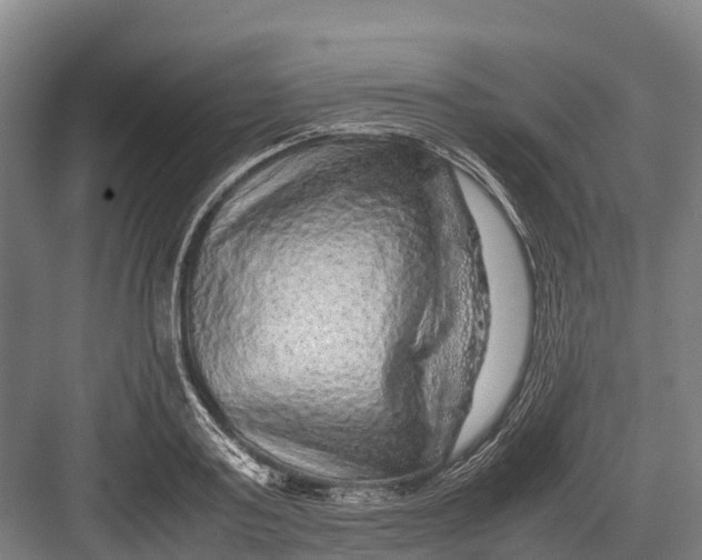 X0000082720795200702161840