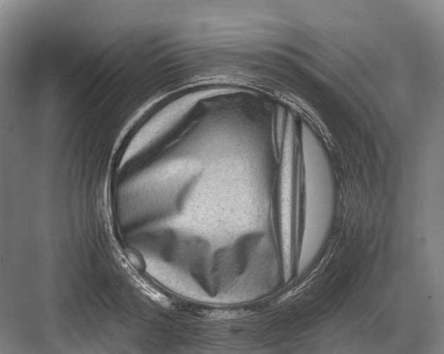 X0000082720796200702161840