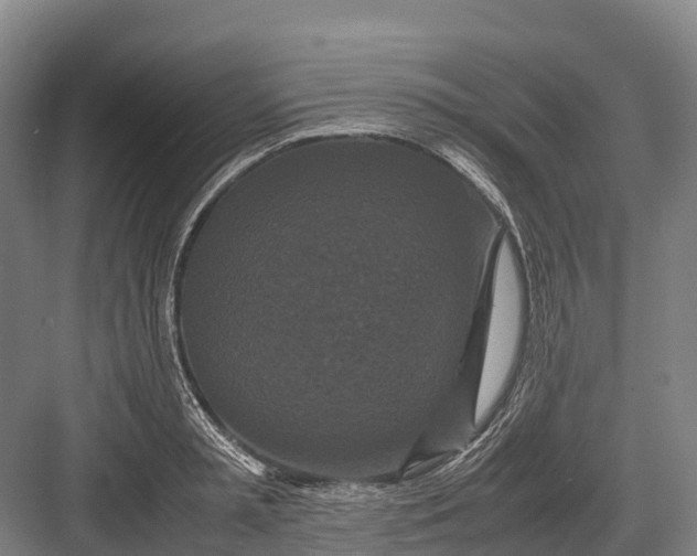 X0000082720797200702161840