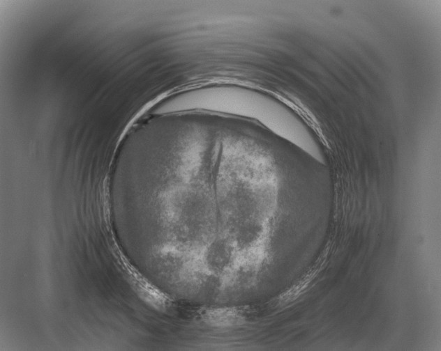 X0000082720798200702161840