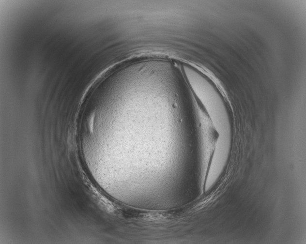 X0000082720799200702161840