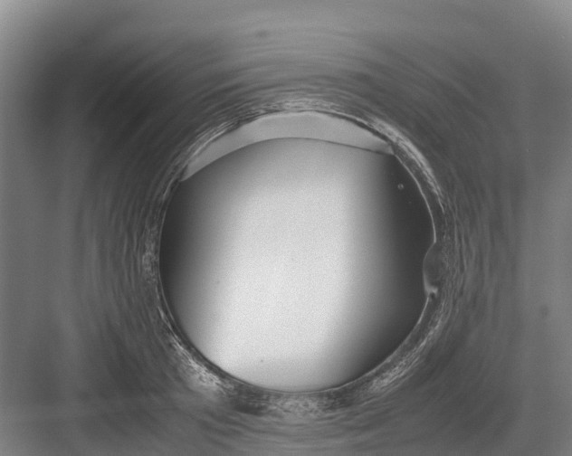 X0000082720801200702161840