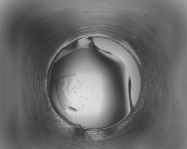 X0000082720805200702161840