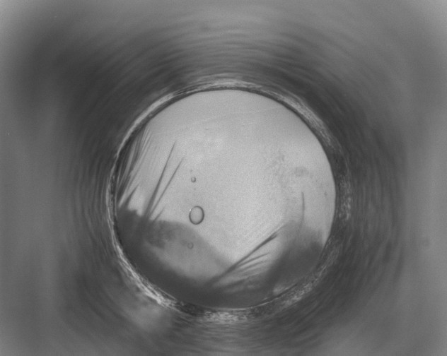 X0000082720806200702161840