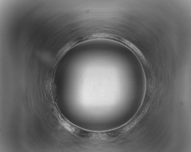 X0000082720809200702161840