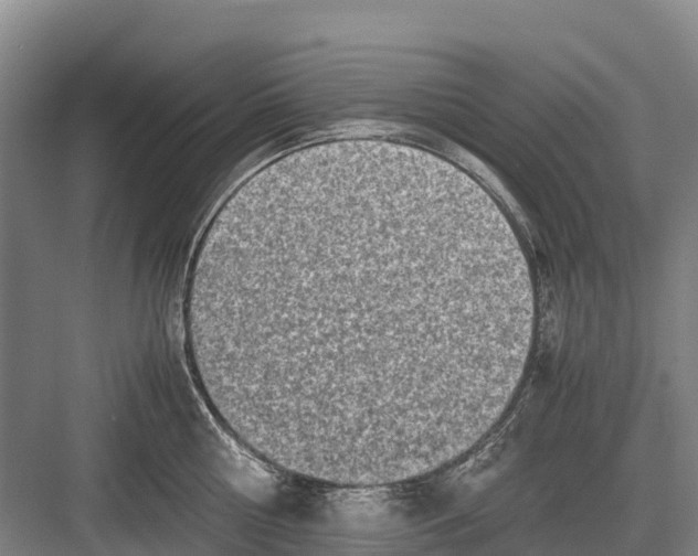 X0000082720810200702161840