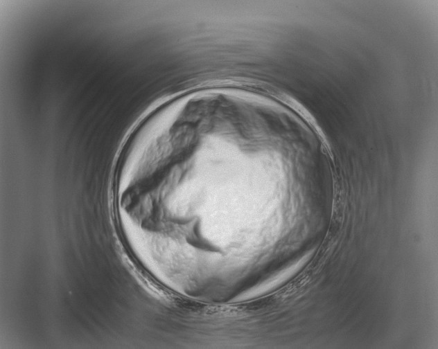 X0000082720811200702161840