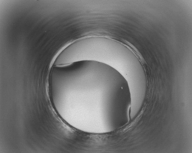 X0000082720812200702161840