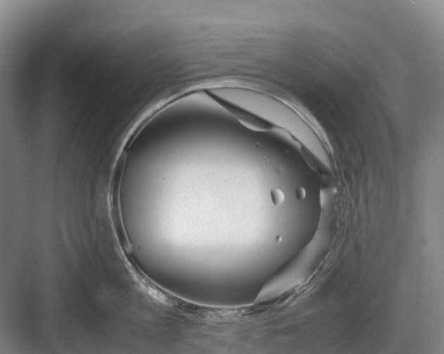 X0000082720813200702161840