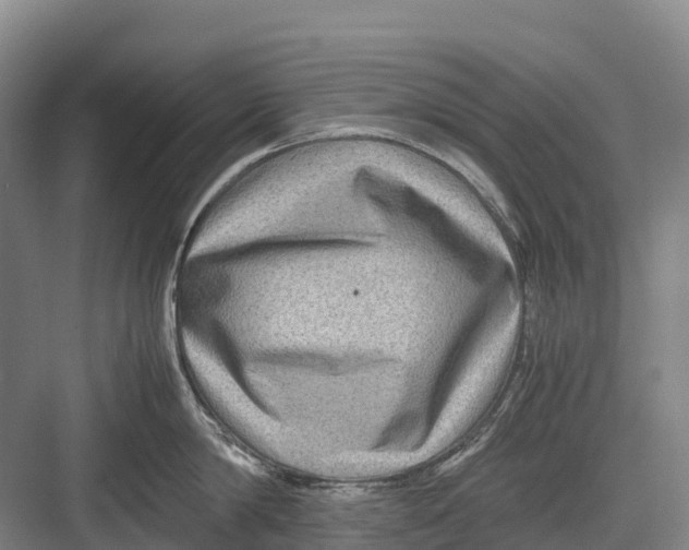 X0000082720814200702161840