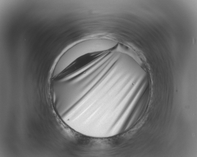 X0000082720816200702161840