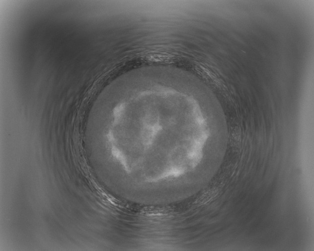 X0000082720817200702161839