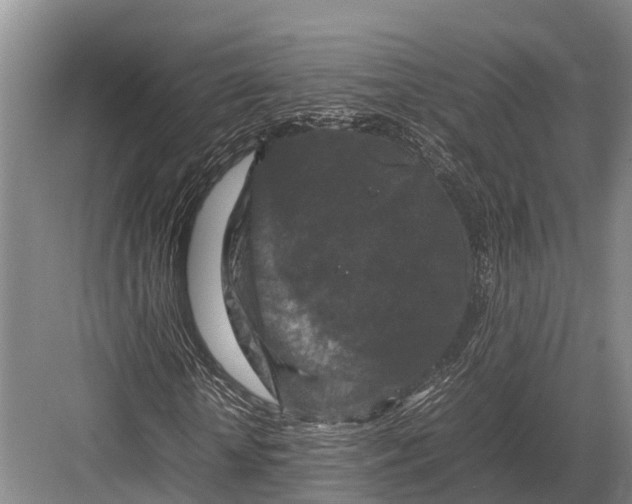 X0000082720818200702161839