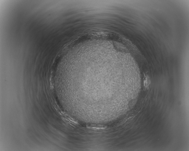 X0000082720819200702161839